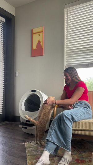 Video post by @gemmellerin on TikTok