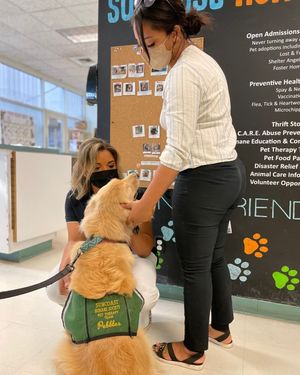 Image post by @suncoasthumane on Instagram