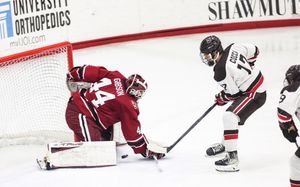 Image post by @brownu_mhockey on Instagram
