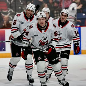Image post by @ohlicedogs on Instagram
