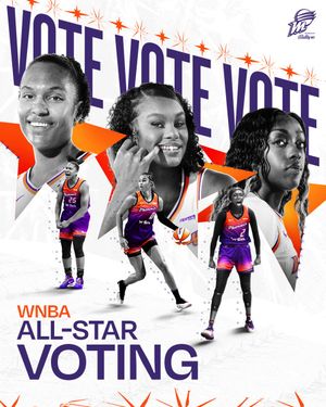 Image post by @PhoenixMercury on Twitter