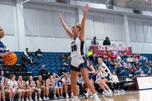 Image post by @leeuwbb on Instagram