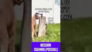 Video post by @evolsoulx on YouTube