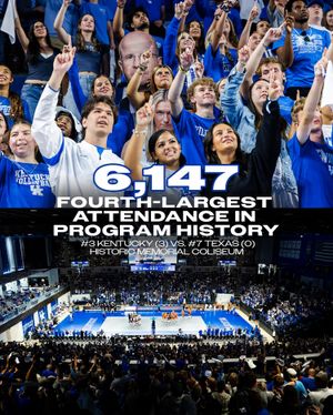 Image post by @kentuckyvolleyball on Instagram