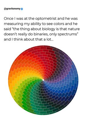 Image post by @gravitonomy on Instagram