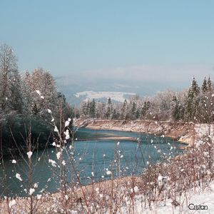 Image post by @cristan.nature.photography on Instagram