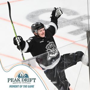 Image post by @swamprabbits on Instagram