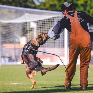 Image post by @charlestonbattery on Instagram