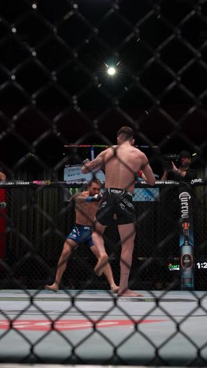 Video post by @ufc on TikTok