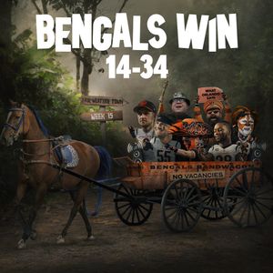Image post by @bengals on Instagram
