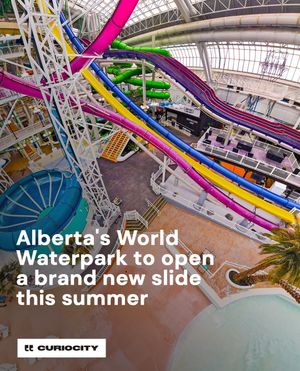 Image post by @curiocitycalgary on Instagram