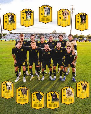 Image post by @charlestonbattery on Instagram