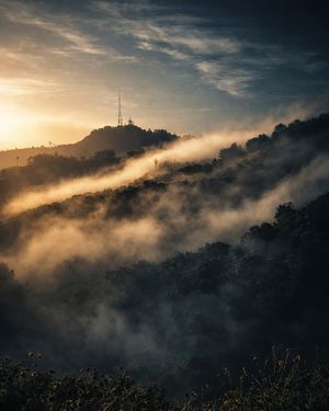 Image post by @mr_valderrama on Instagram