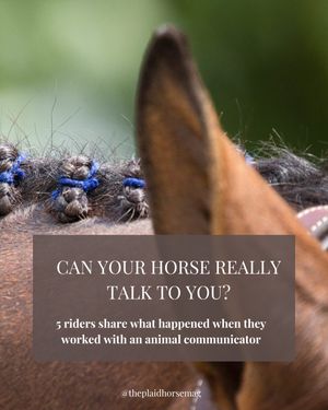 Image post by @theplaidhorsemag on Instagram