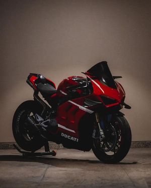 Image post by @panigalers on Instagram