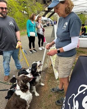 Image post by @saintroccostreats on Instagram