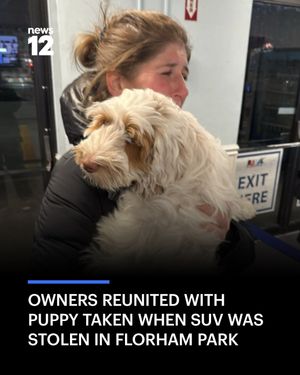 Image post by @news12nj on Instagram