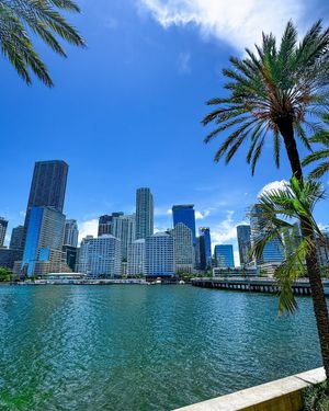 Image post by @mo_miami on Instagram