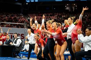 Image post by @hogsplus on Instagram