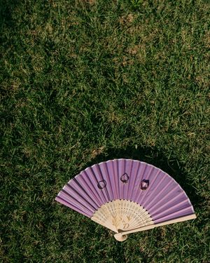 Image post by @skylarlienphoto on Instagram