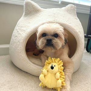 Image post by @originalsnugglepuppy on Instagram