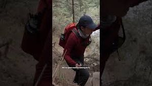 Video post by @60minutes on YouTube