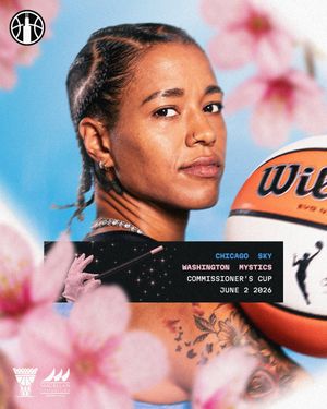 Image post by @chicagosky on Twitter