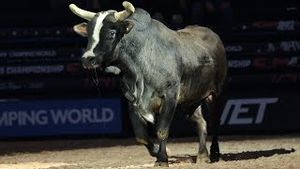 Video post by @pbr on YouTube