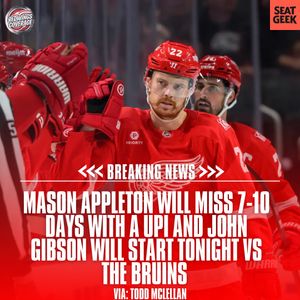 Image post by @redwingscoverage on Instagram