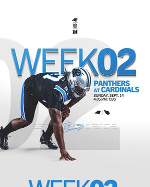 Image post by @panthers on Instagram