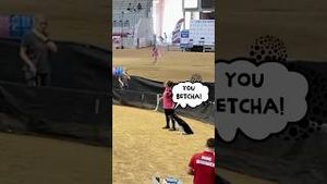 Video post by @dogsthat on YouTube