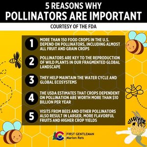 Image post by @firstgentmarlonreis on Instagram