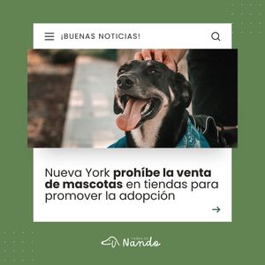 Image post by @tierradenando on Instagram