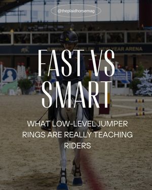 Image post by @theplaidhorsemag on Instagram