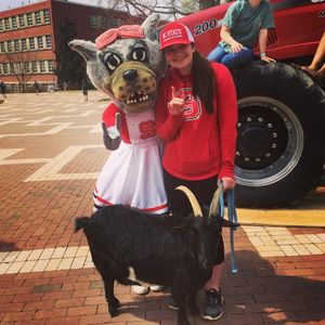 Image post by @ncstatecals on Instagram
