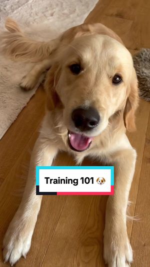 Video post by @nestle on TikTok