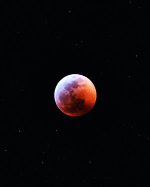 Image post by @brandonrski on Instagram