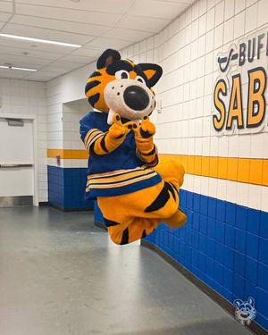 Image post by @sabretooth_nhl on Instagram