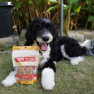 Image post by @farmtopet on Instagram