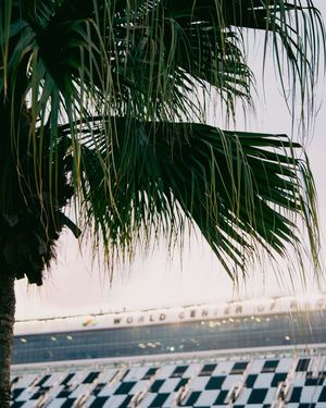 Image post by @jarnascar on Instagram