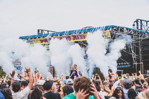 Image post by @supdogs on Instagram