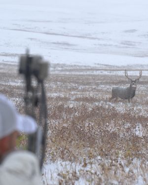 Image post by @uaoutdoor on Instagram