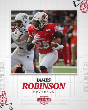 Image post by @isuredbirdfb on Instagram