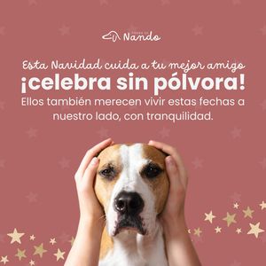 Image post by @tierradenando on Instagram