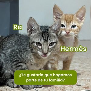 Image post by @tierradenando on Instagram