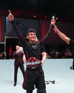 Image post by @ufcbjj on Instagram