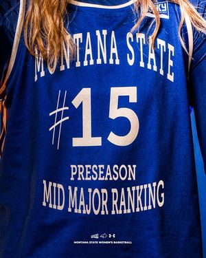 Image post by @msubobcatswbb on Instagram