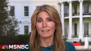 Video post by @msnbc on YouTube