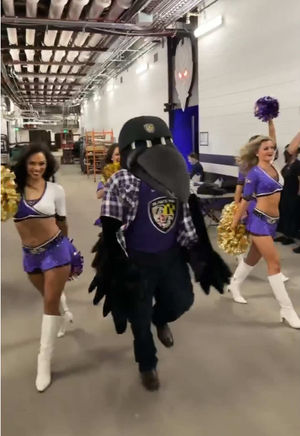 Video post by @ravens on TikTok