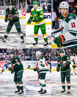 Image post by @minnesotawild on Instagram